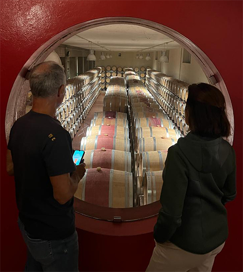 taxi livigno winw tour